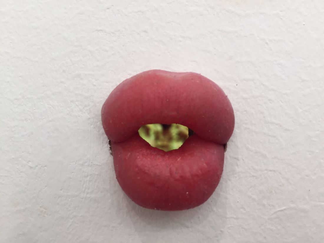 Lips (Study #3) de Mika Rottenberg, 2016 (Foto: Paula Alzugaray) 